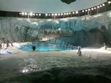 2014-02-17_16-42-13_0.jpg